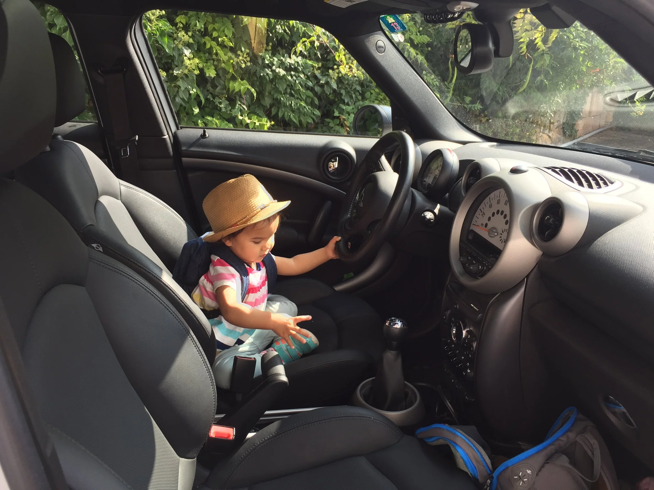 Out among the grapes