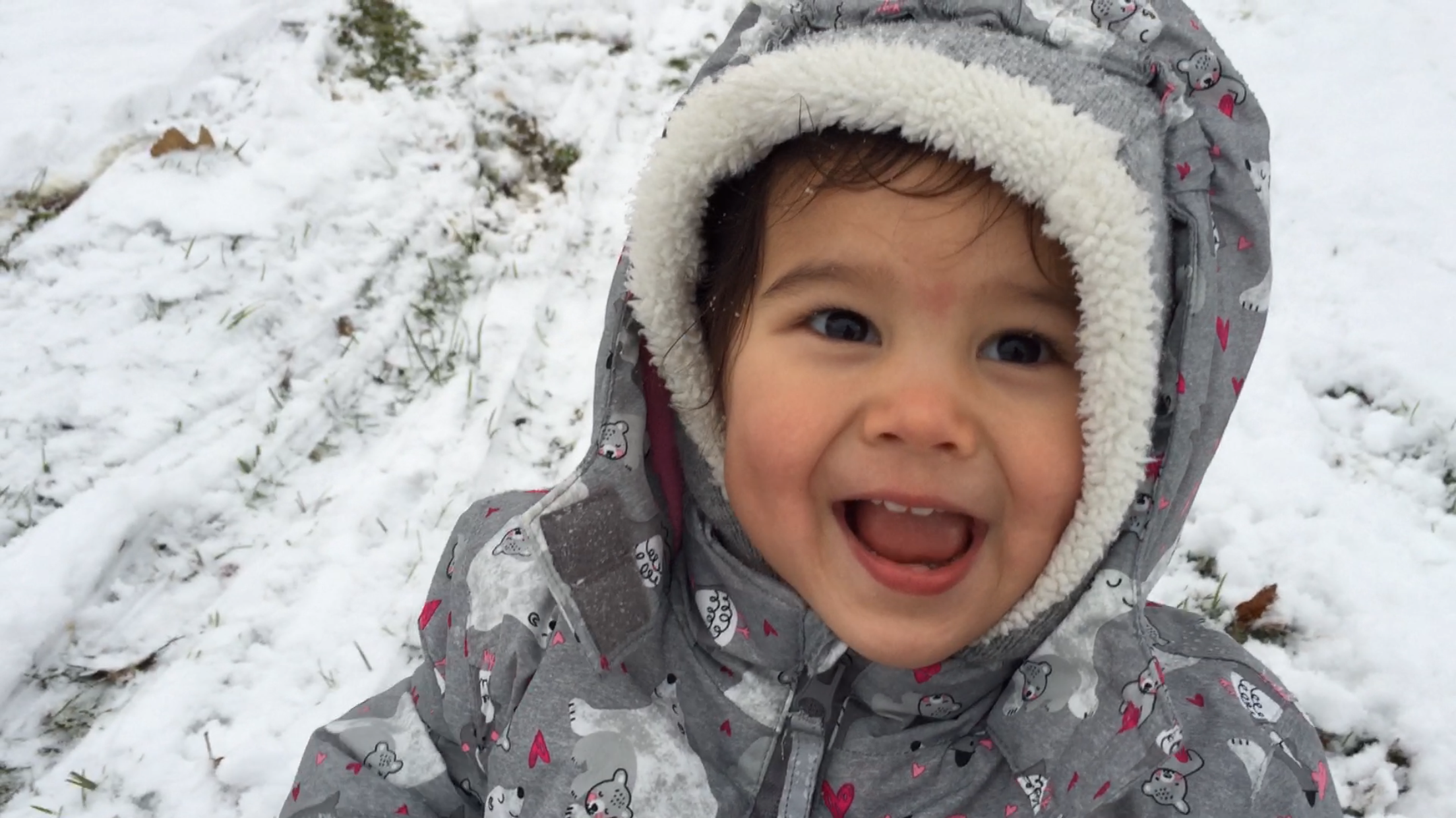 Some Random 2018 & First Time Sledding!