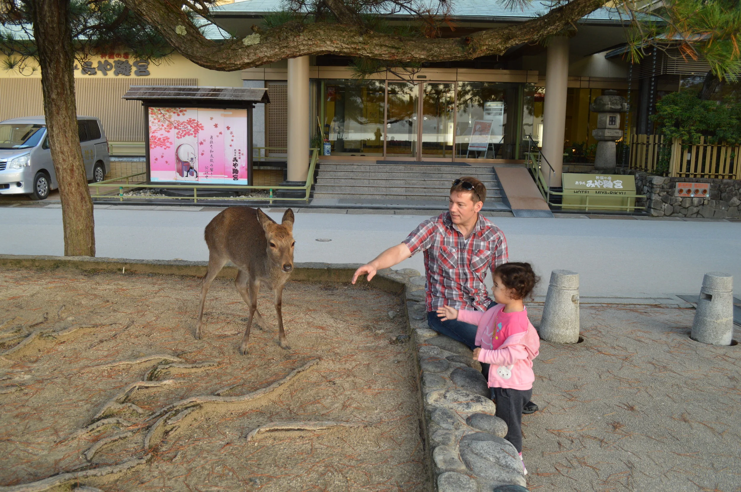 Last Pics from Japan