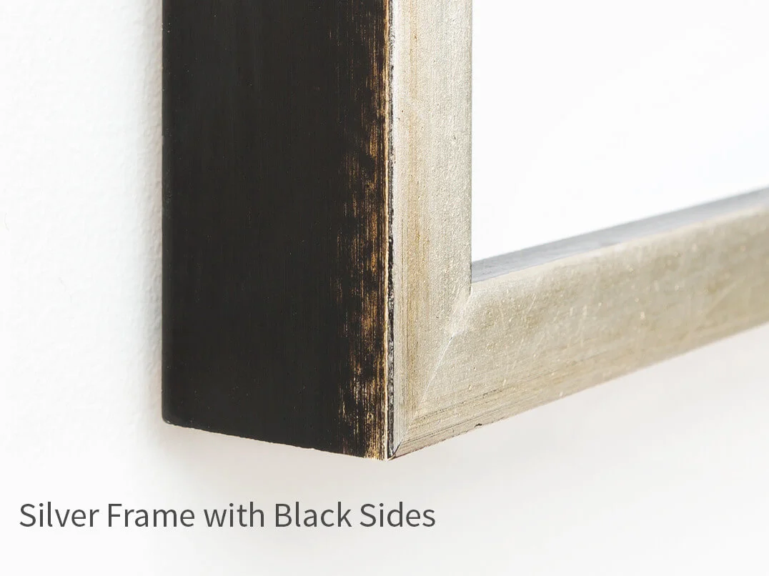 SilverFramewithBlackSides.jpg