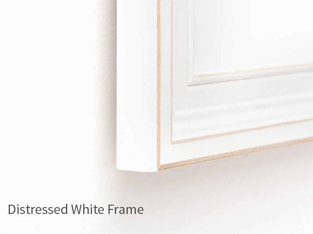 DistressedWhiteFrame.jpg