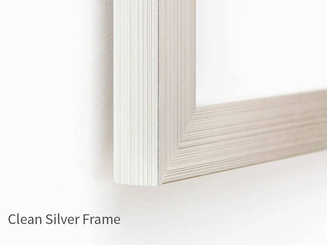 CleanSilverFrame.jpg