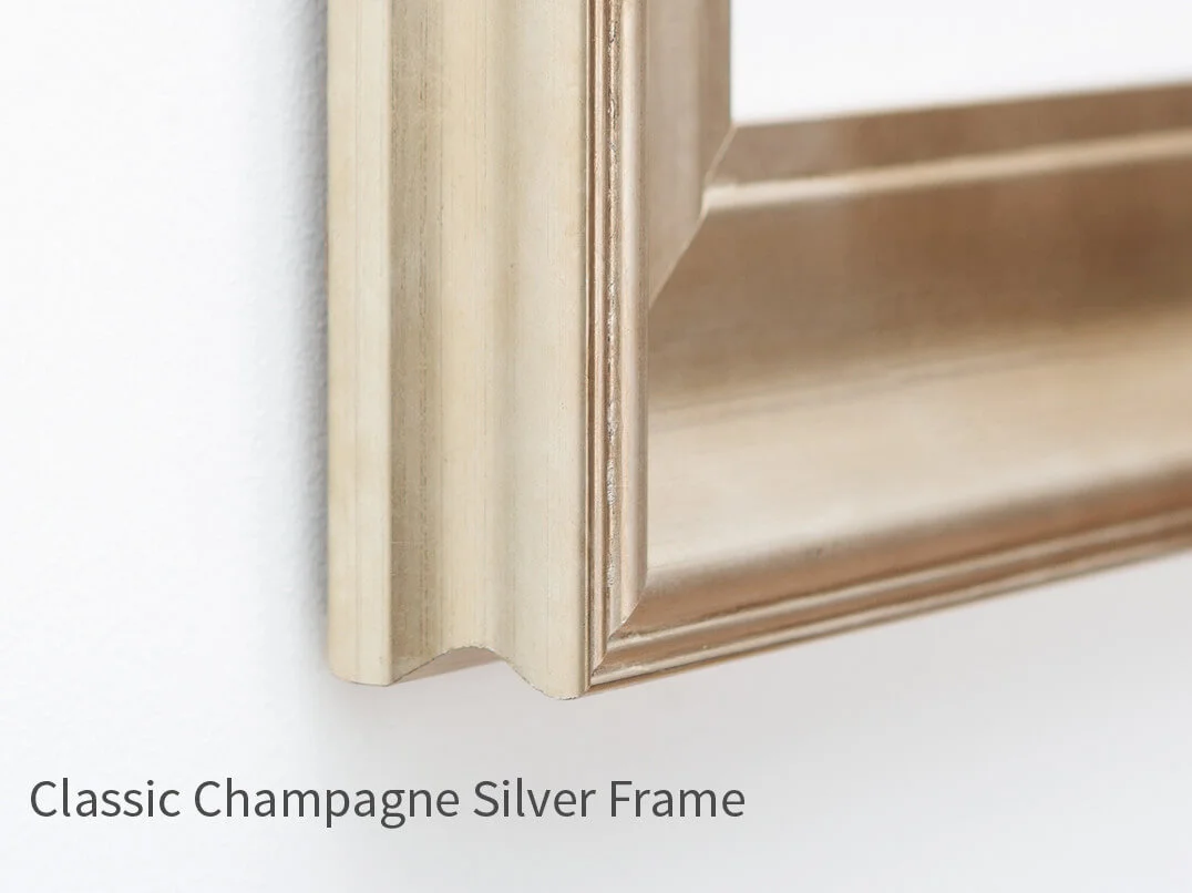 ClassicChampagneSilverFrame.jpg