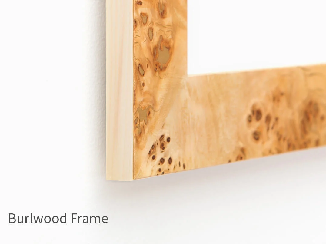 BurlwoodFrame.jpg