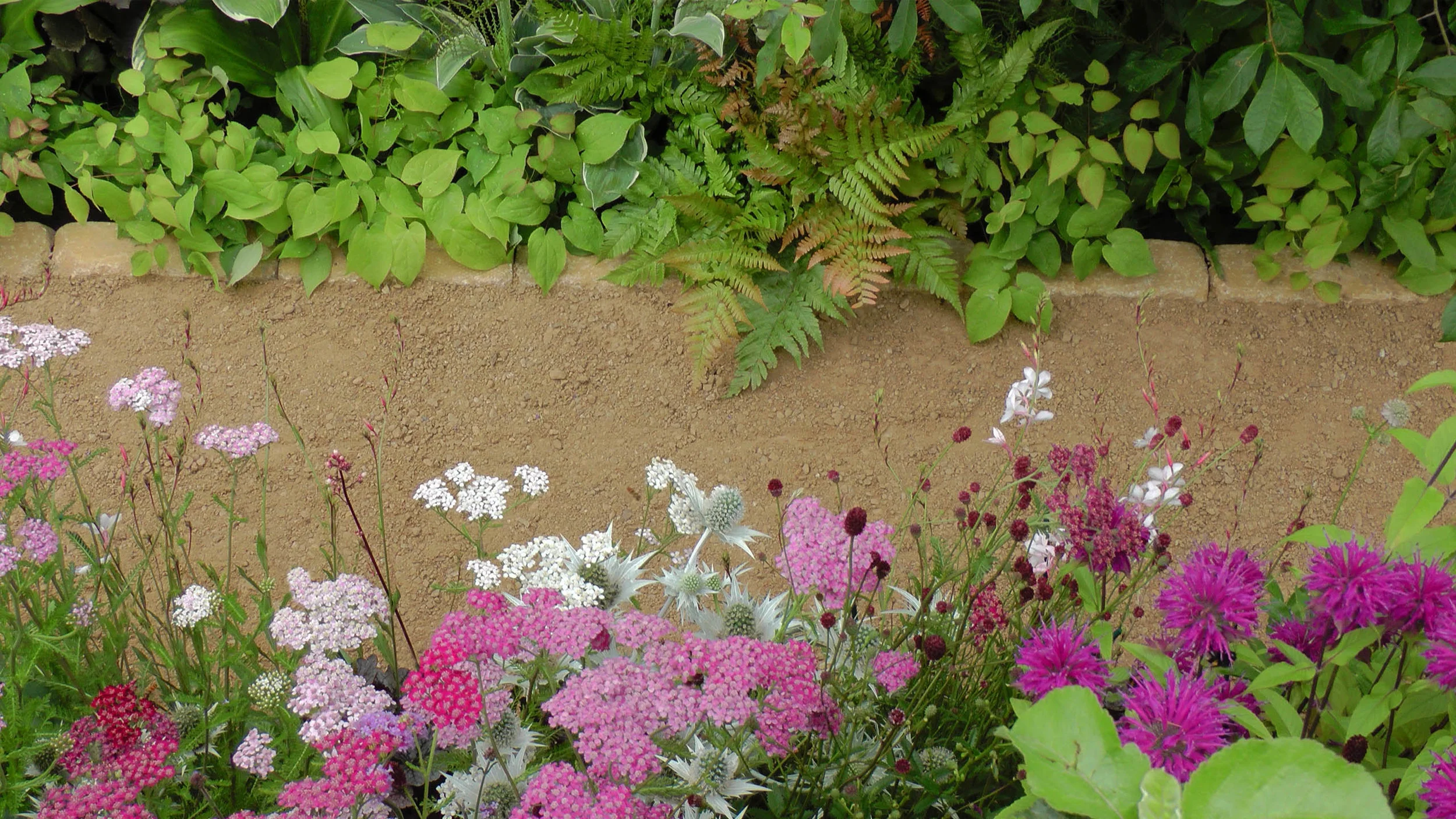 Cheshire Garden Design: RHS Tatton Flower Show 'Precious Resources Garden': Path with perennial borders