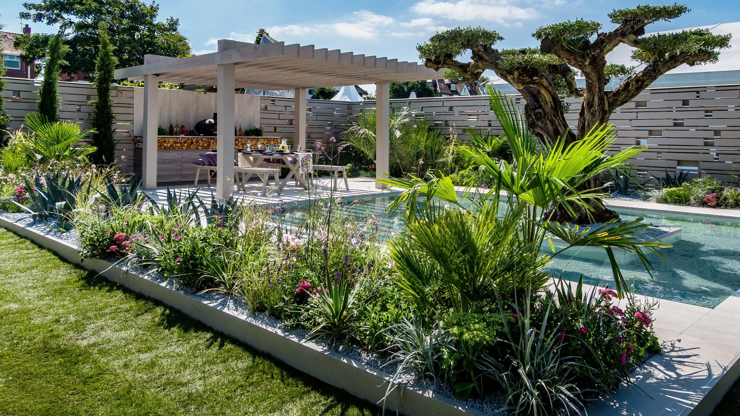 Southport Garden Design: A View Of The Olive Tree: