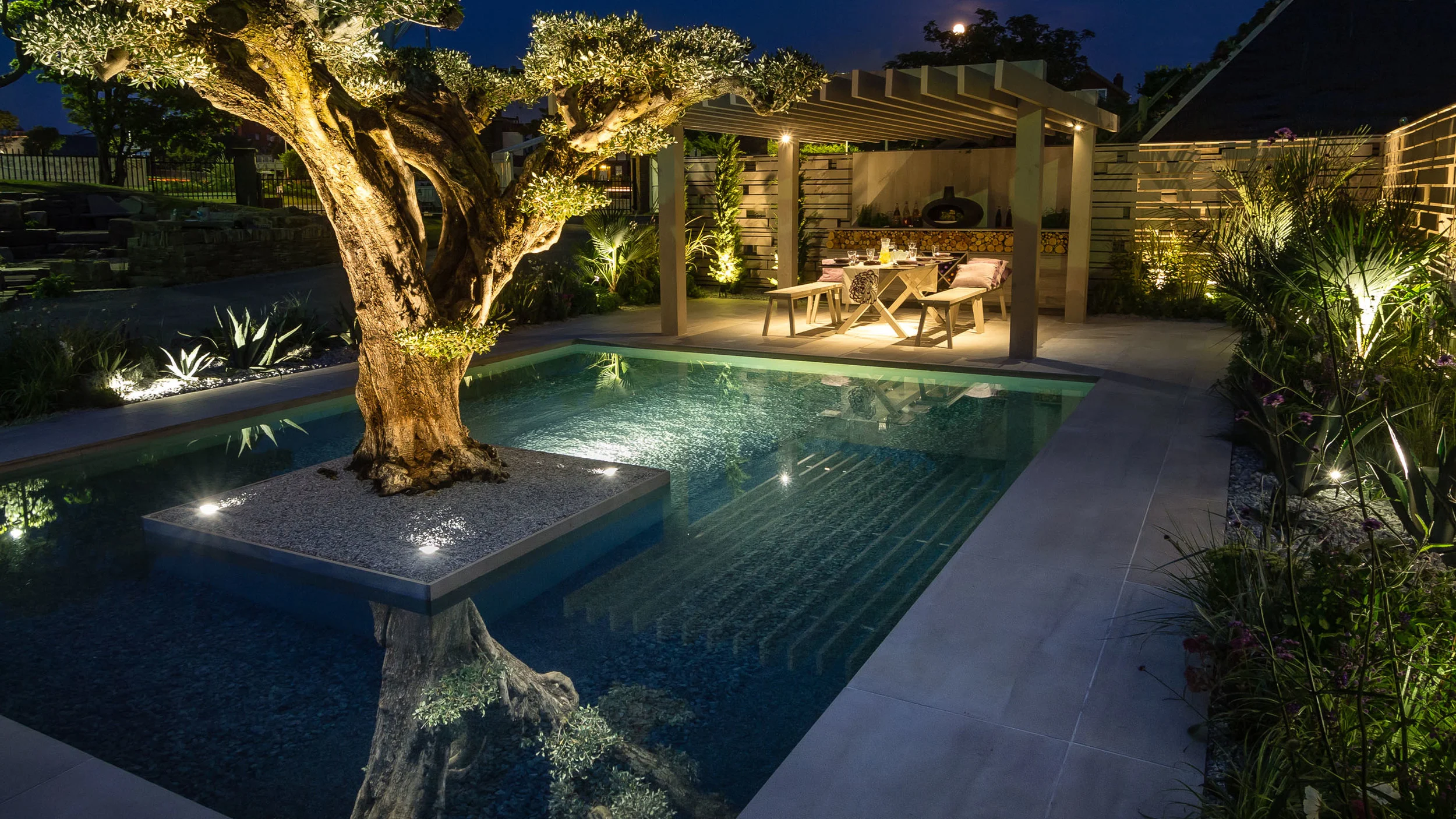 Southport Garden Design: A View Of The Olive Tree By Night