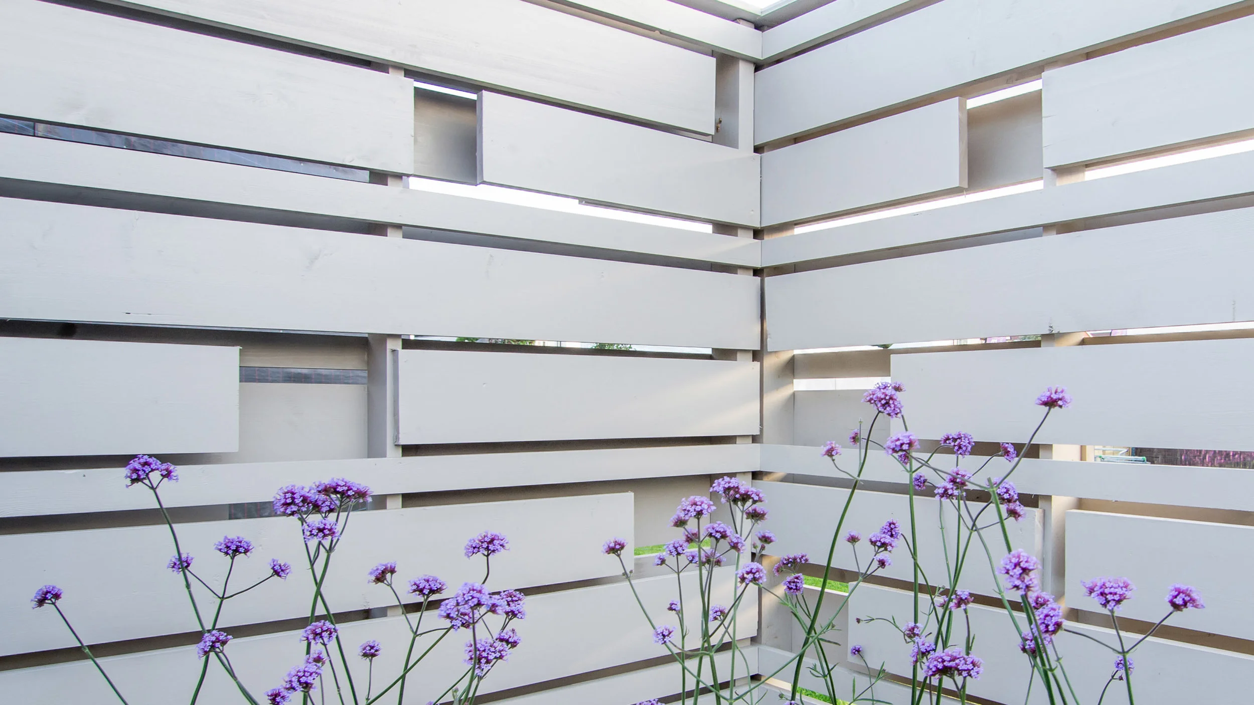 Southport Garden Design: A View Of The Olive Tree: Bespoked Fencing With Verbena bonariensis