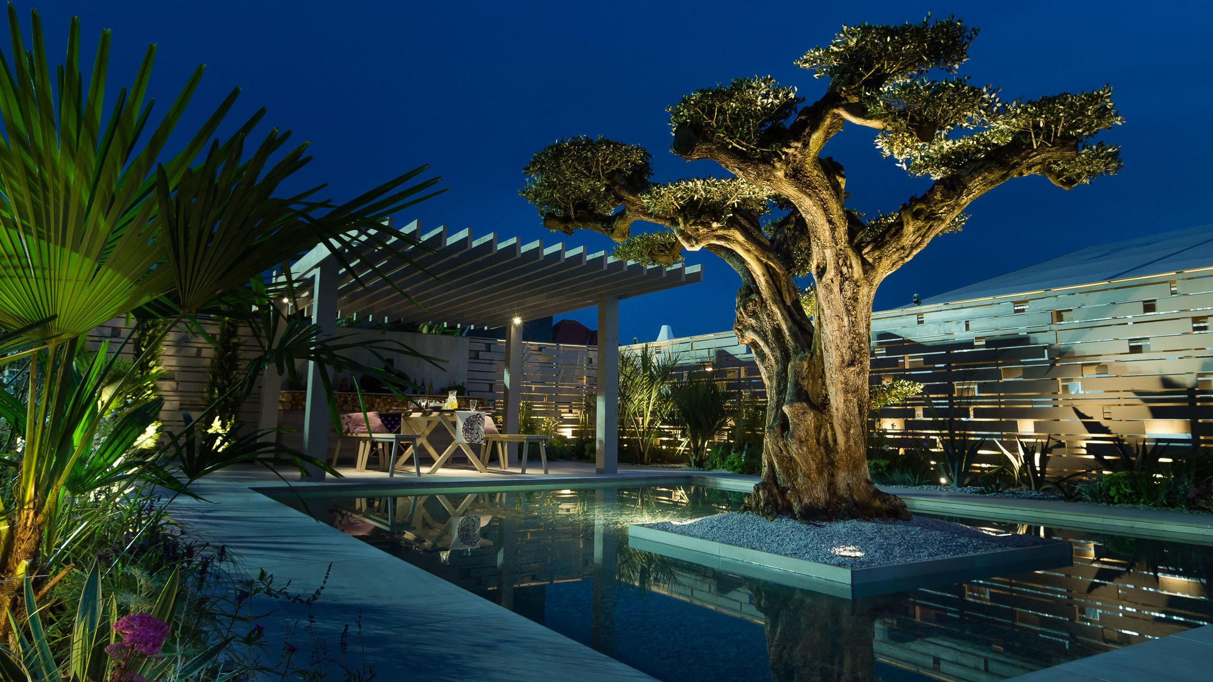 Southport Garden Design: A View Of The Olive Tree By Night