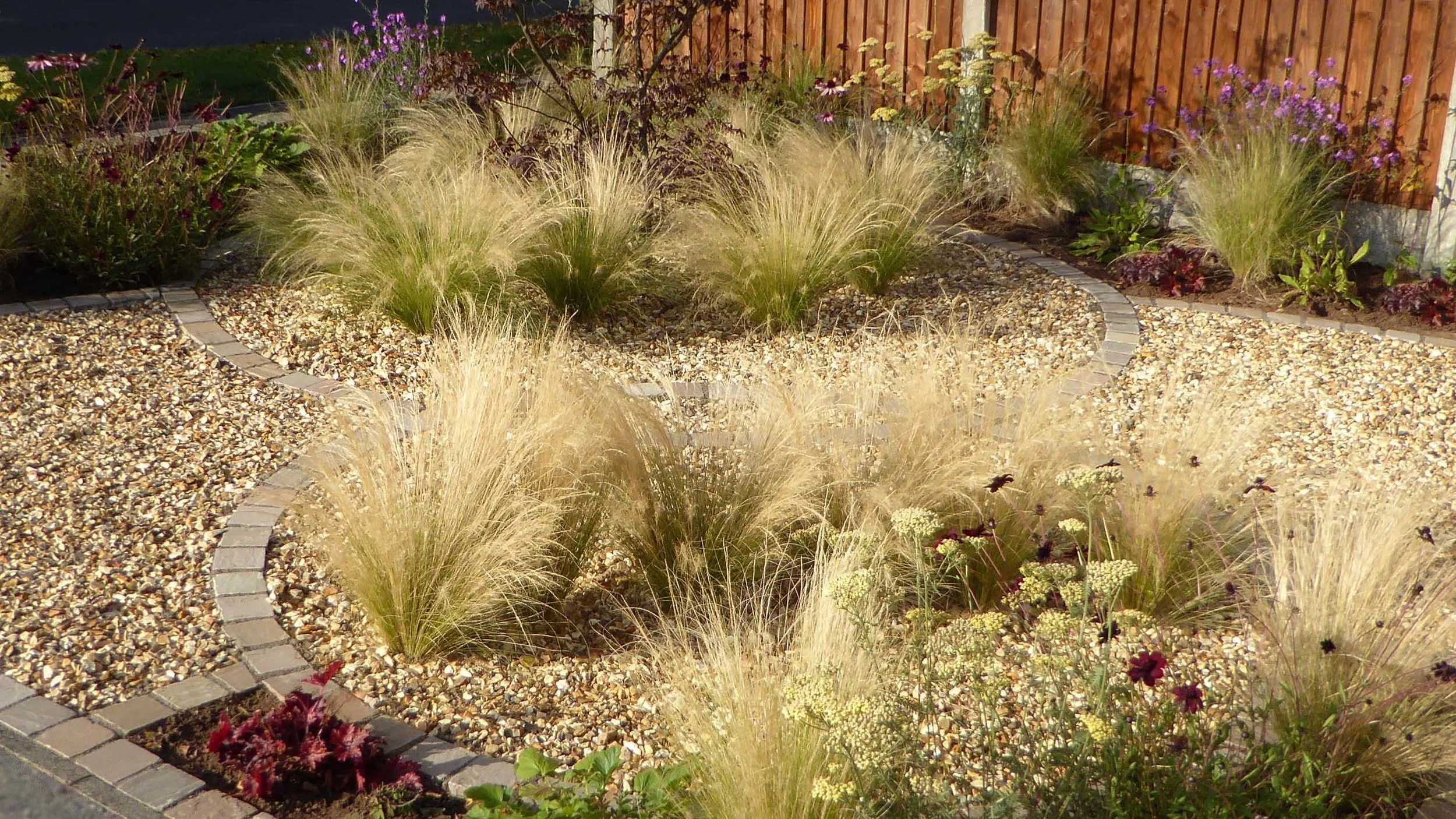 Cheshire Garden Design: Interlocking Curves and Acer (Front Garden)