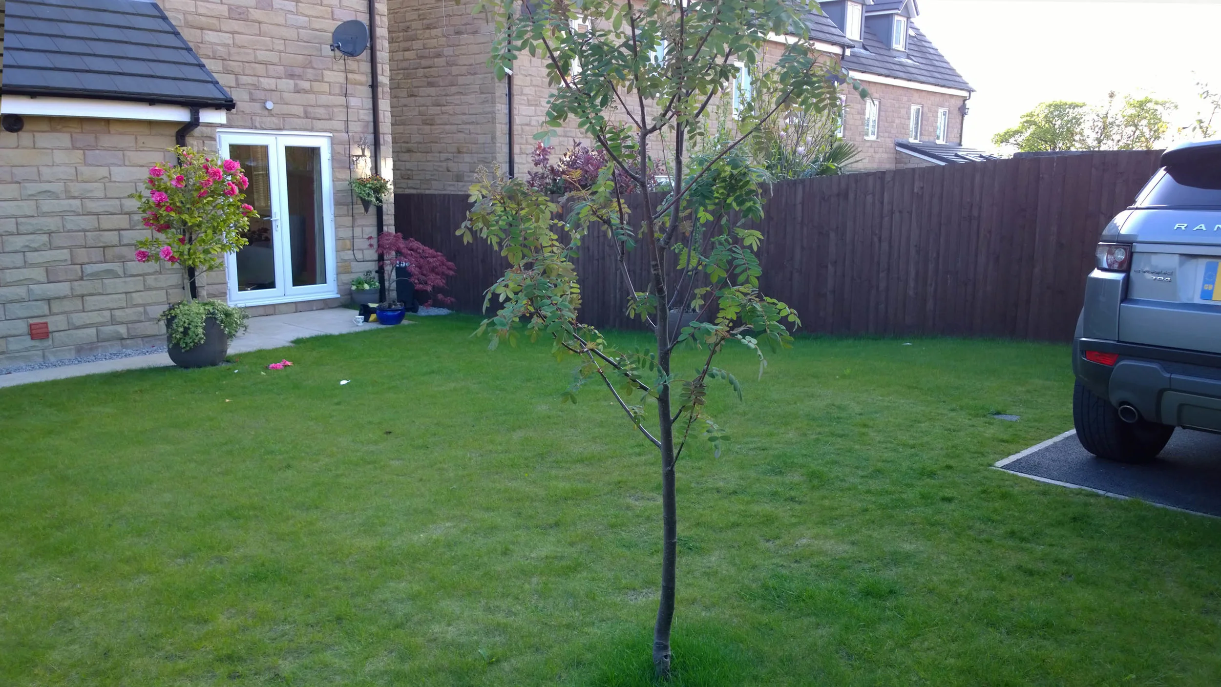 BEFORE - Open garden with little interest and poor quality, boggy lawn.