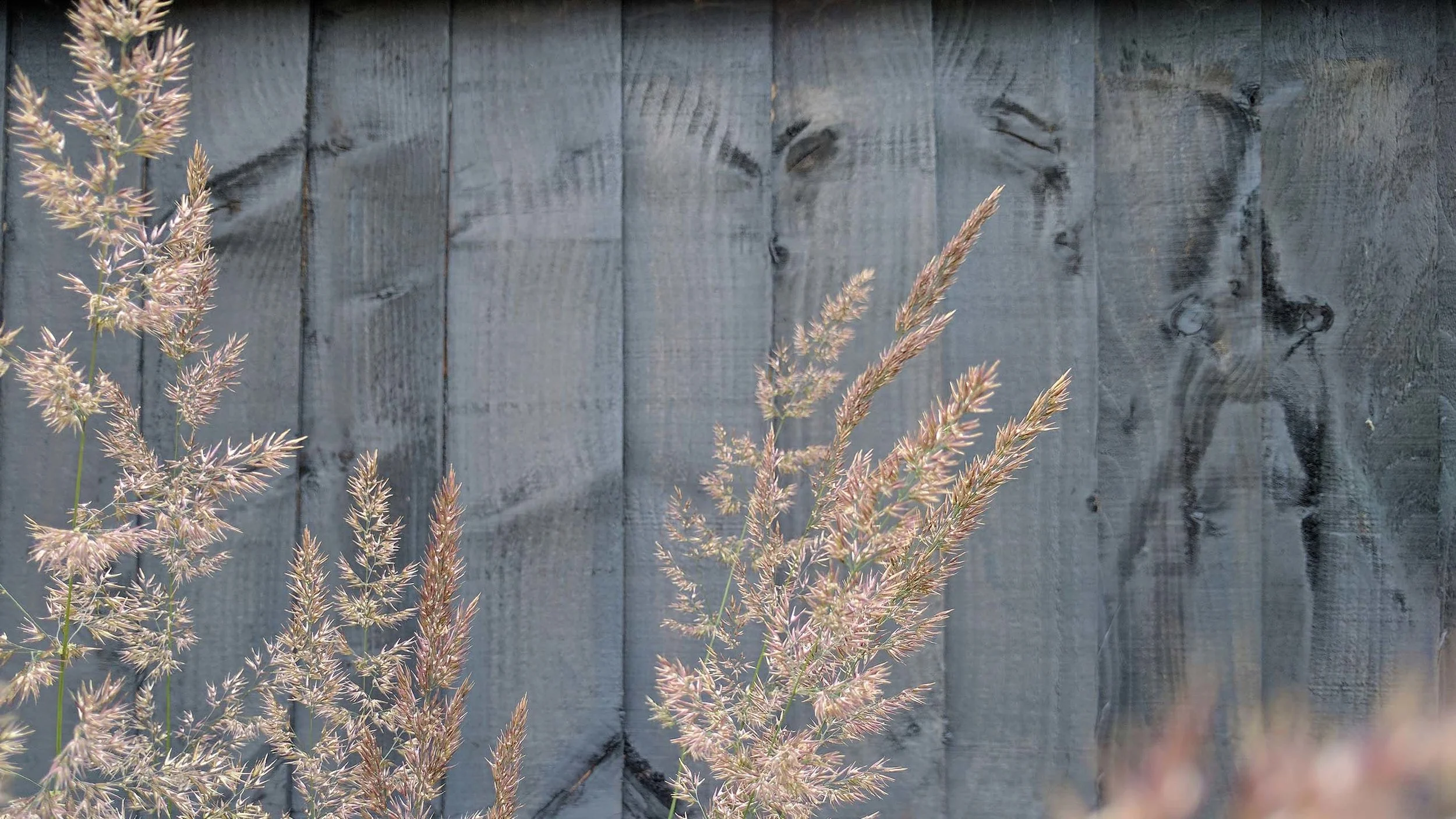 GardenDesignLancaster 3.jpg