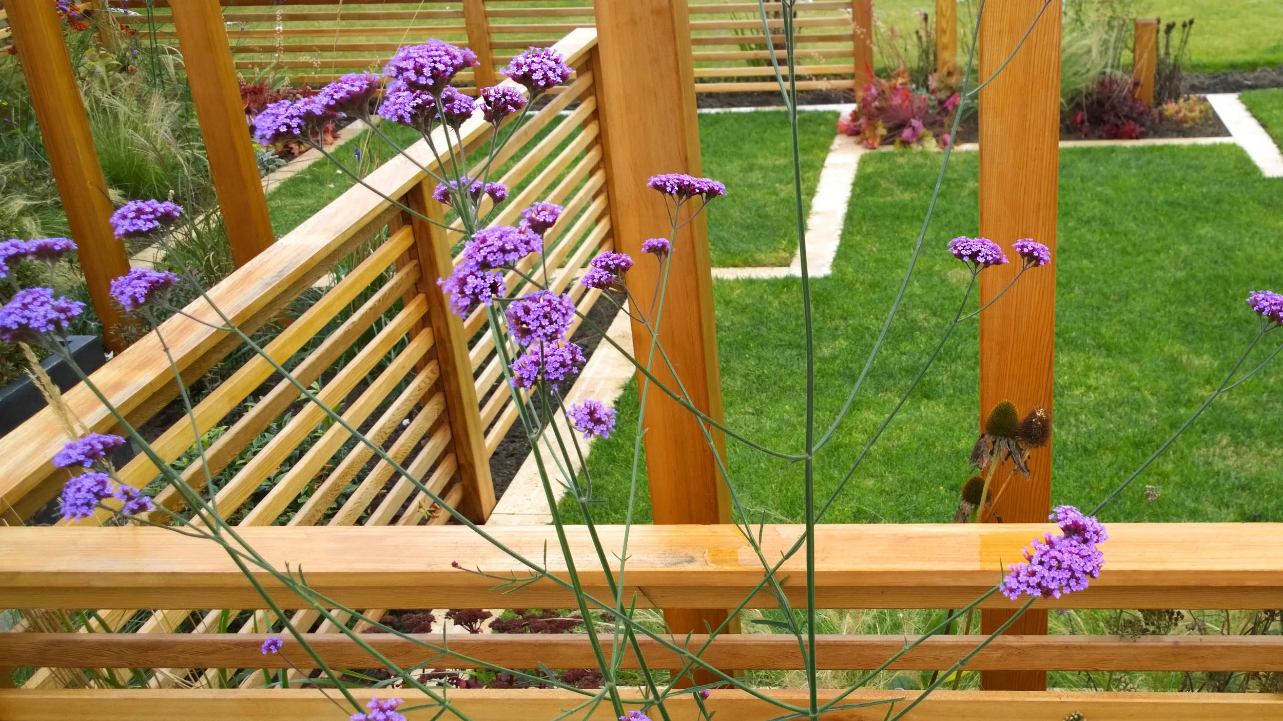 Garden Design in Cheshire: Screens and Perennials