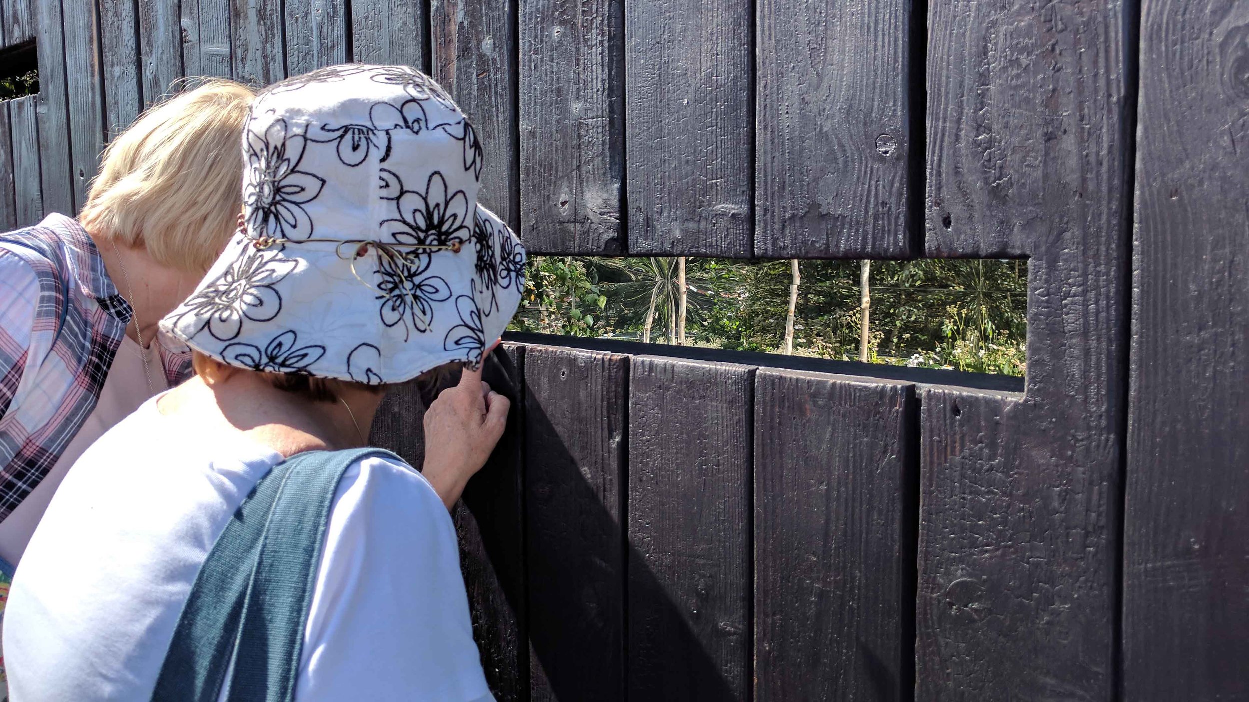 Southport Garden Design: Kuro: Visitors Look Through The Cube Slot