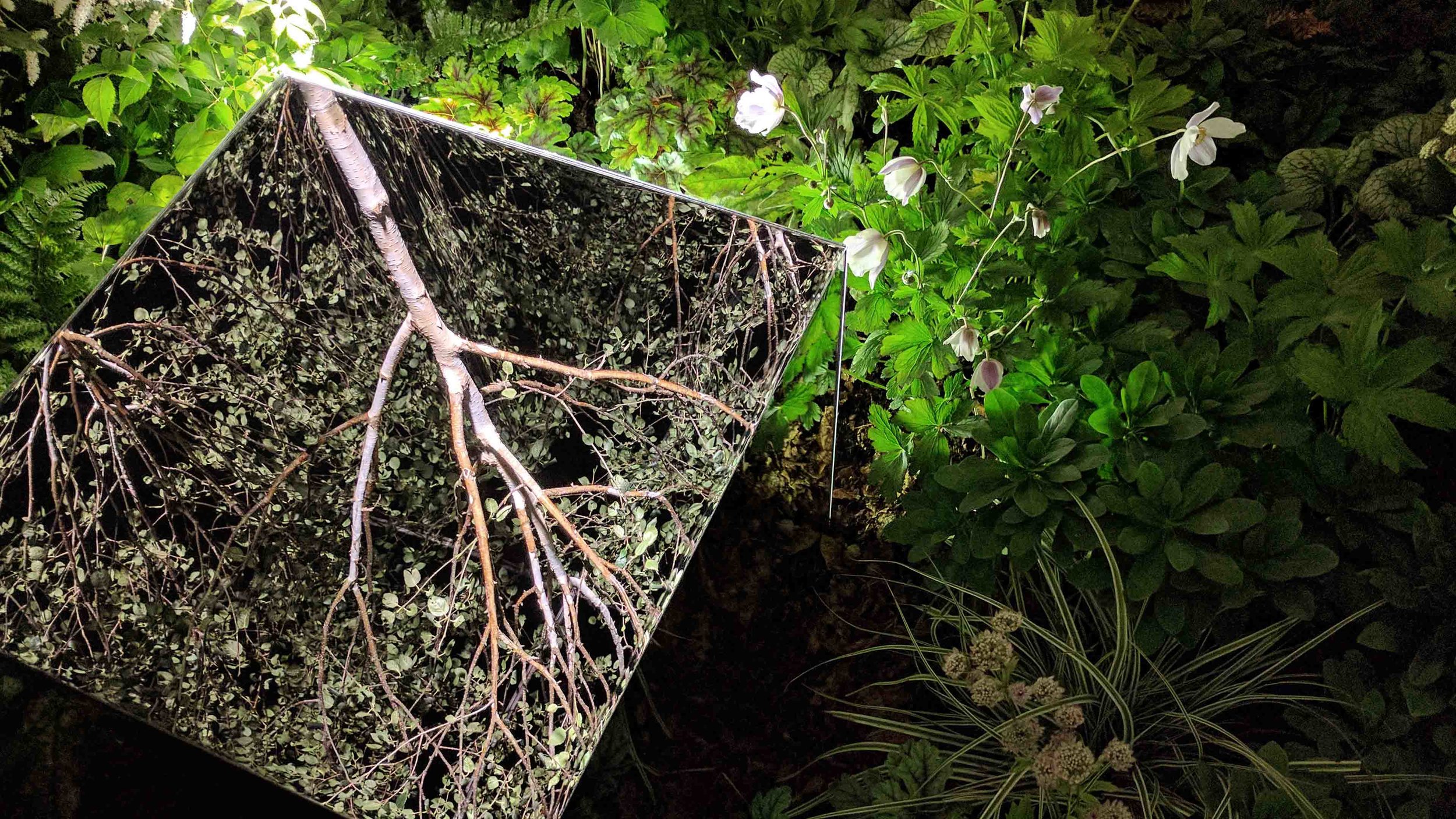 Southport Garden Design: Kuro: Inside The Mirrored Cube At Night