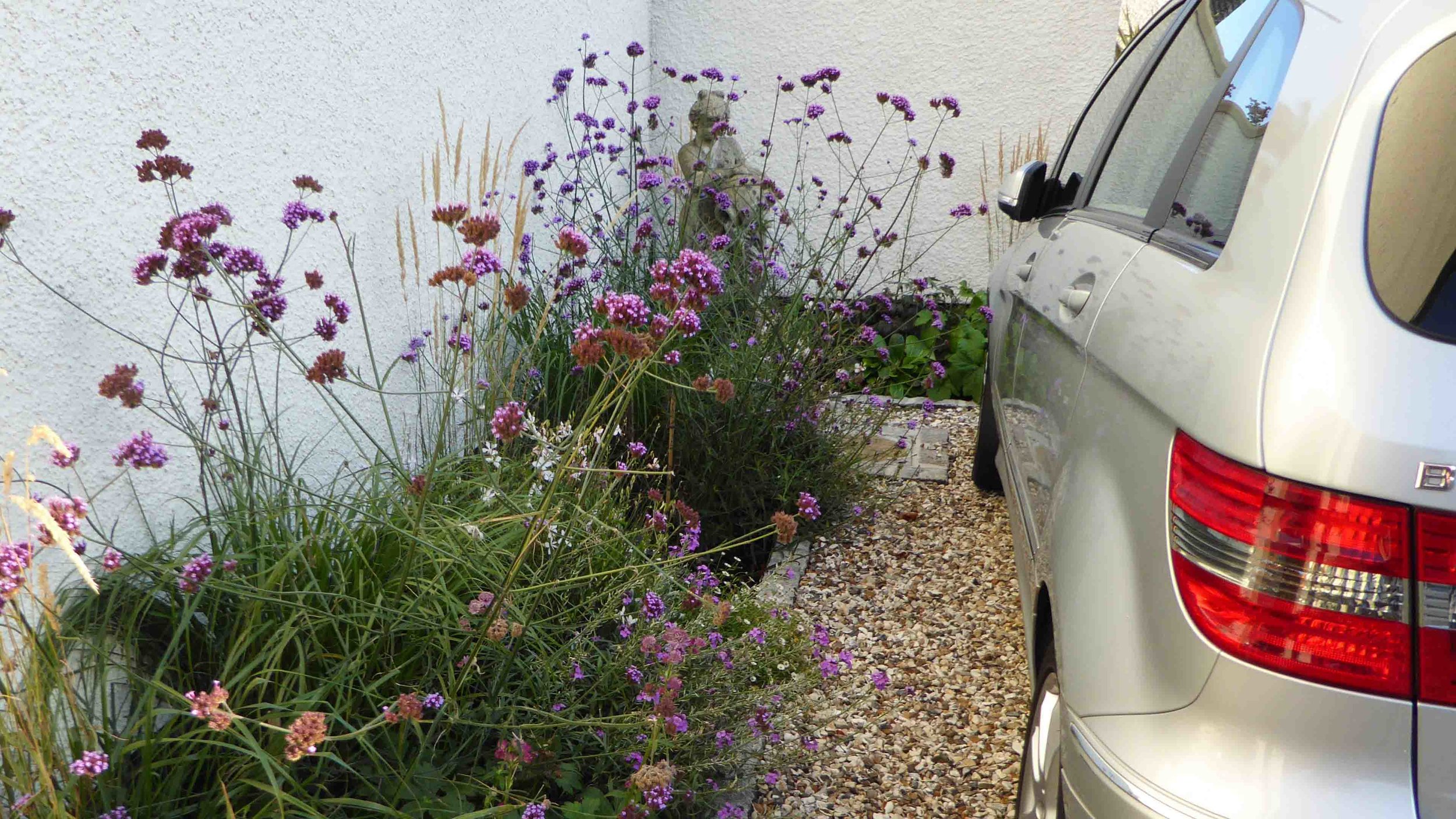 Cheshire Garden Design: The Sun and Shade Garden: Drive and Perennial Border With Verbena bonariensis