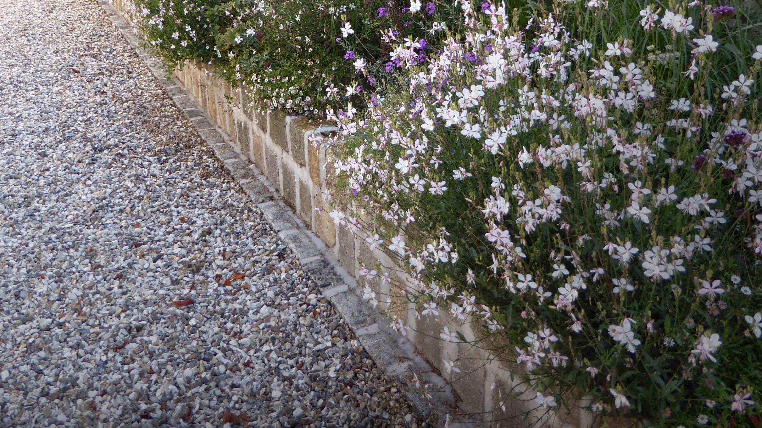 Cheshire Garden Design: The Sun And Shade Garden: Drive And Gaura In Raised Bed