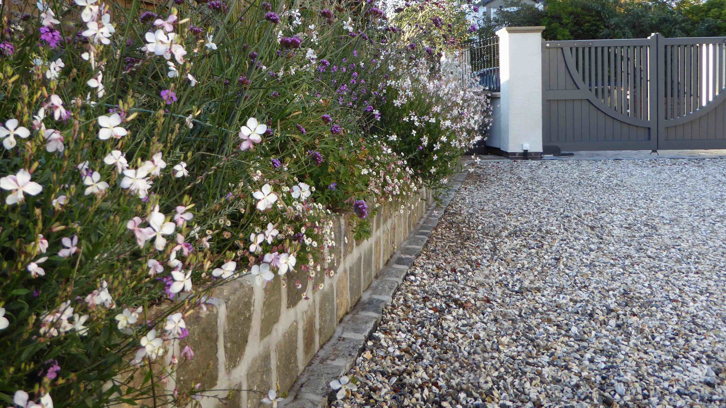 Cheshire Garden Design: The Sun and Shade Garden: Gaura In Raised Bed Next To Drive