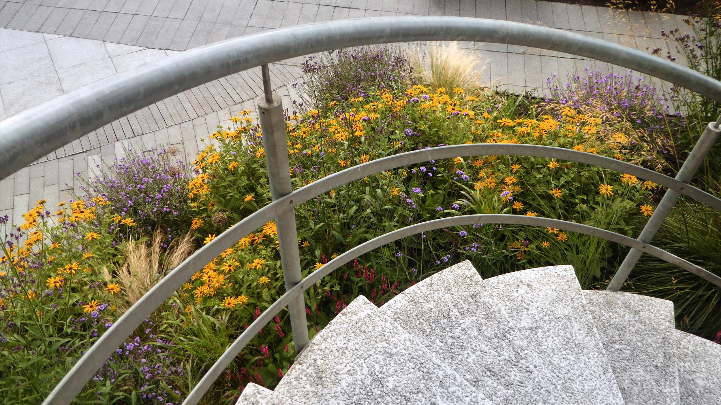boltonuniversity 23.jpg