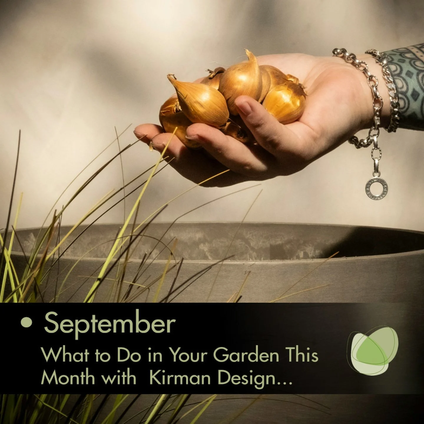 🍂 SEPTEMBER IN THE GARDEN

A little work now makes all the difference later.

September is one of those wonderful crossover months in the garden. Summer hasn't quite finished, but the first signs of autumn are beginning to appear.

There's still ple