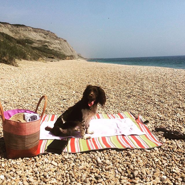 Lazy days #littleboutiqueclub #beachlife #jurrasiccoast