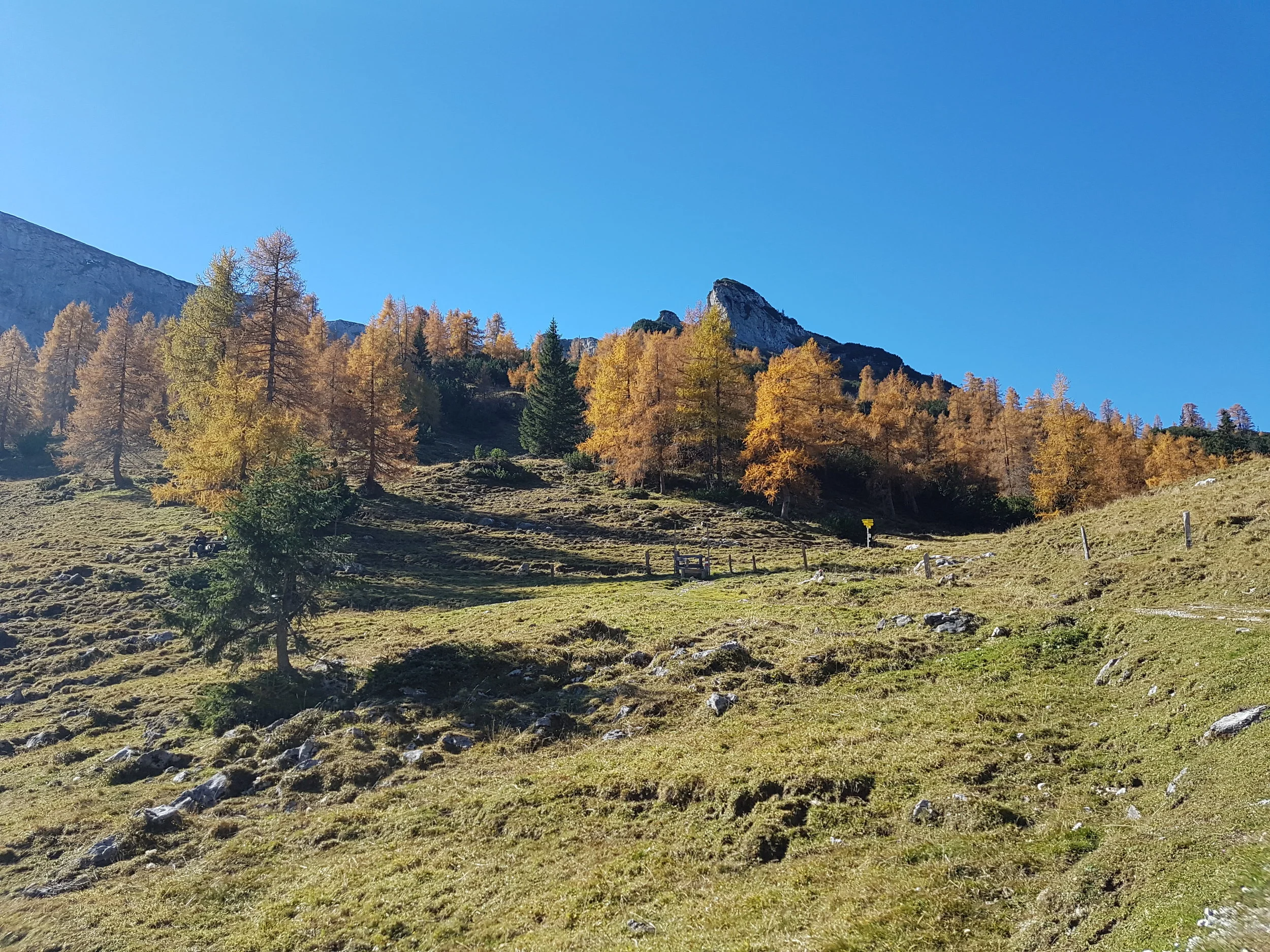 20171016_115819.jpg