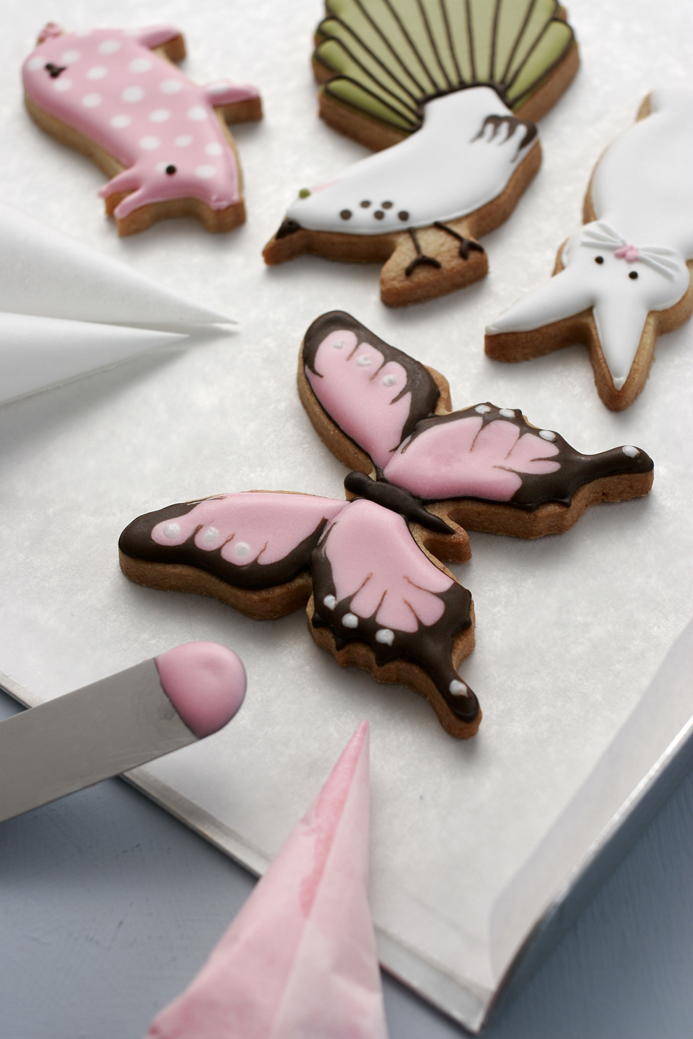 animal-icing-workshop.jpg