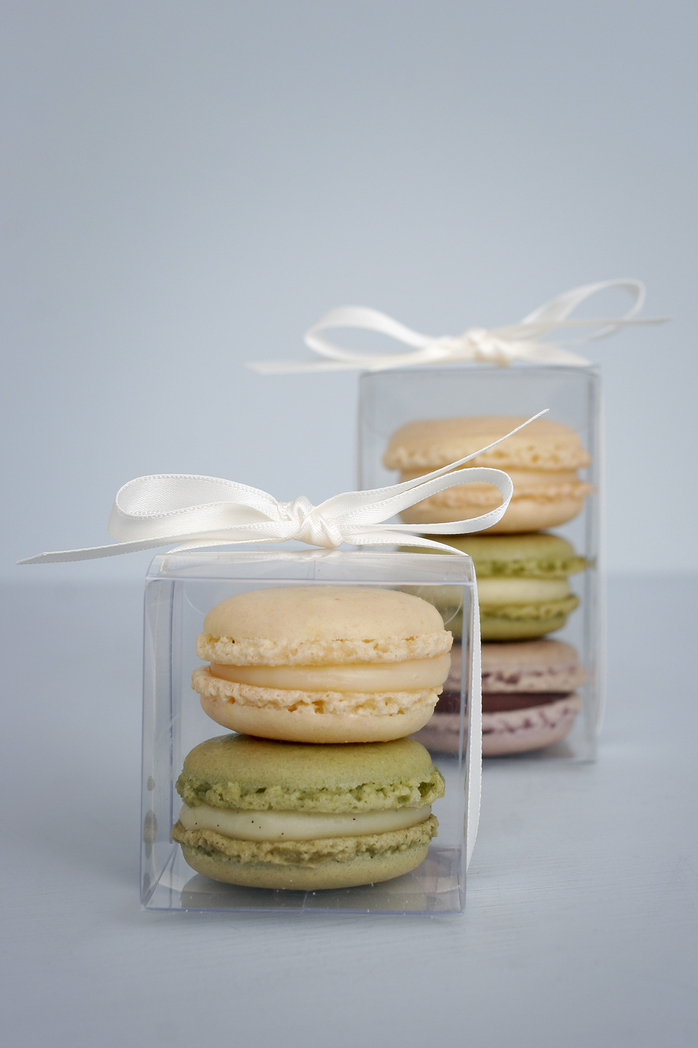 pale-macarons.jpg