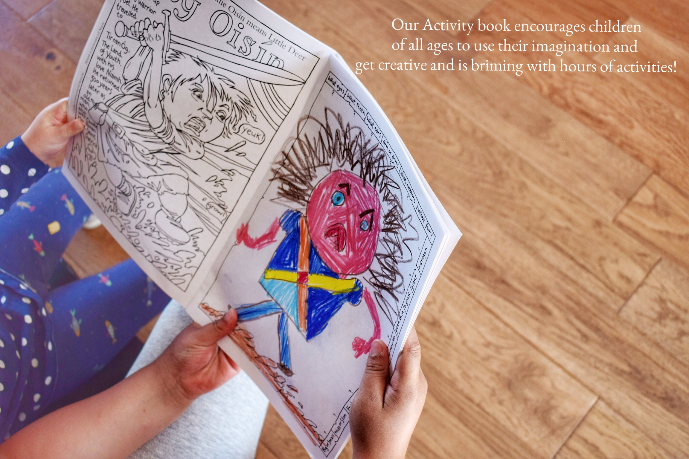 Giants causeway activity book