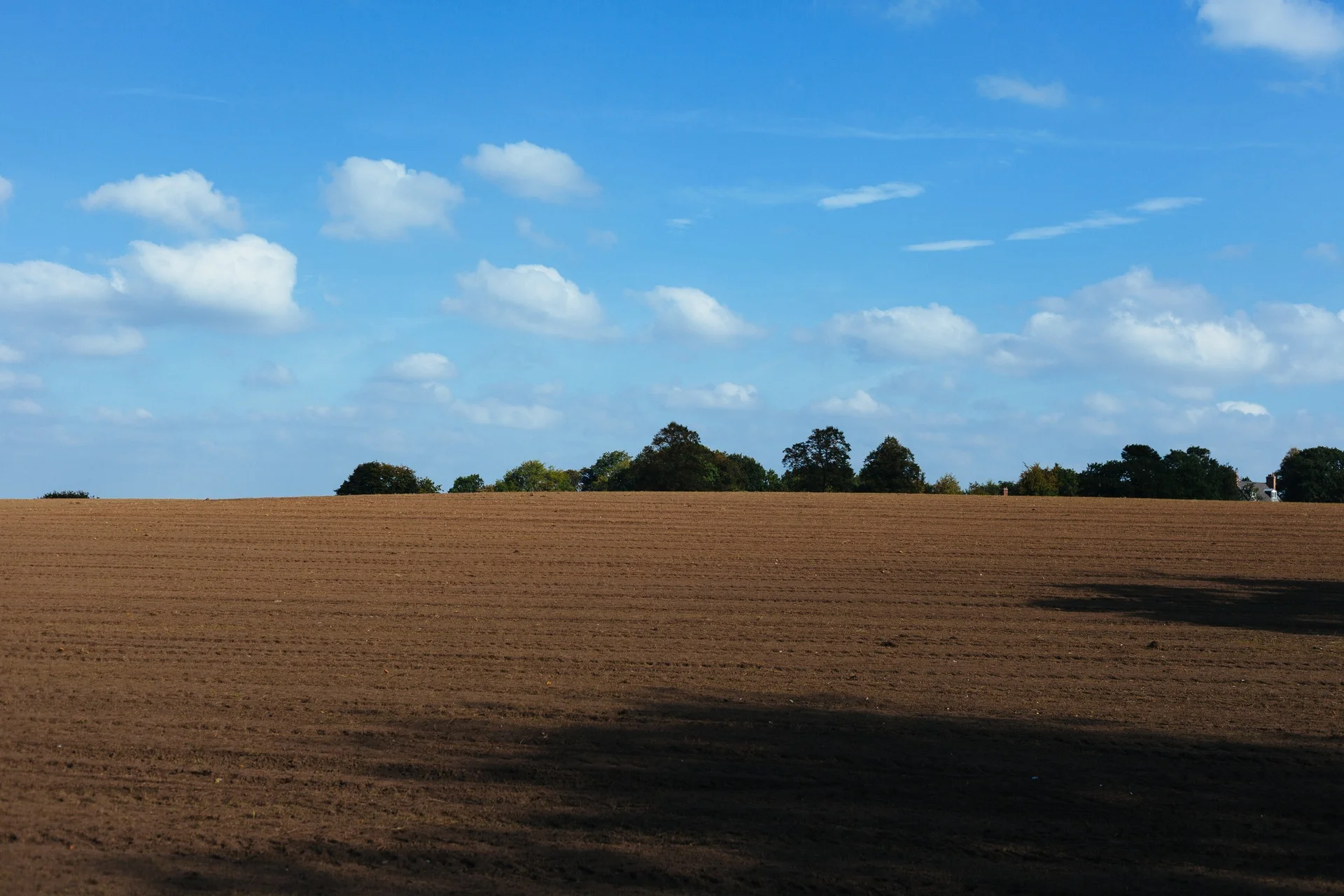 field-agriculture-soil.jpg