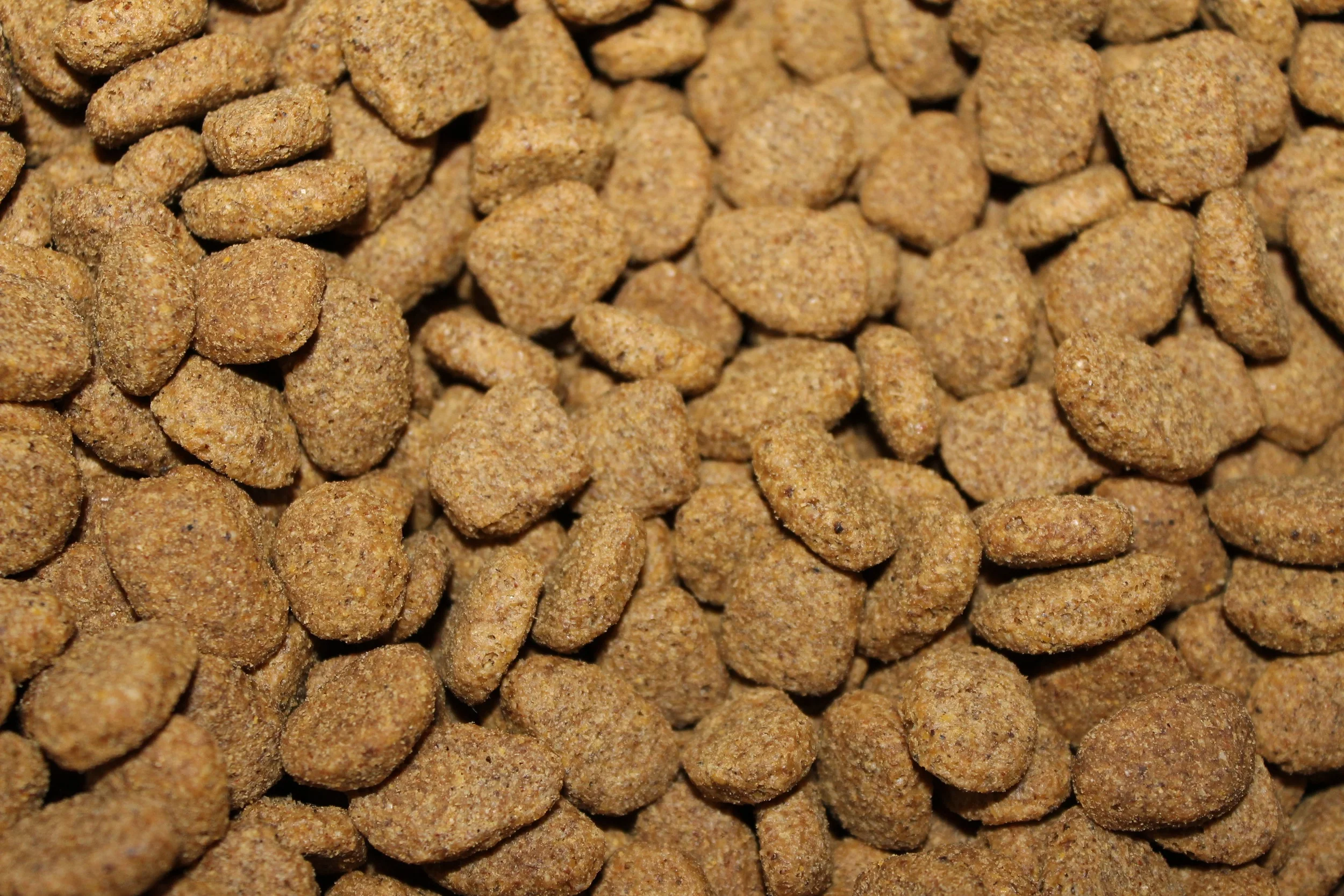 kibble-855419.jpg