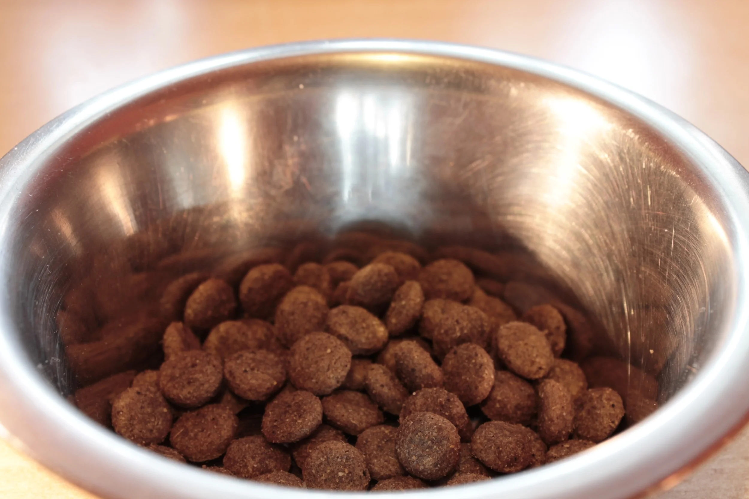 food-bowl-281978.jpg