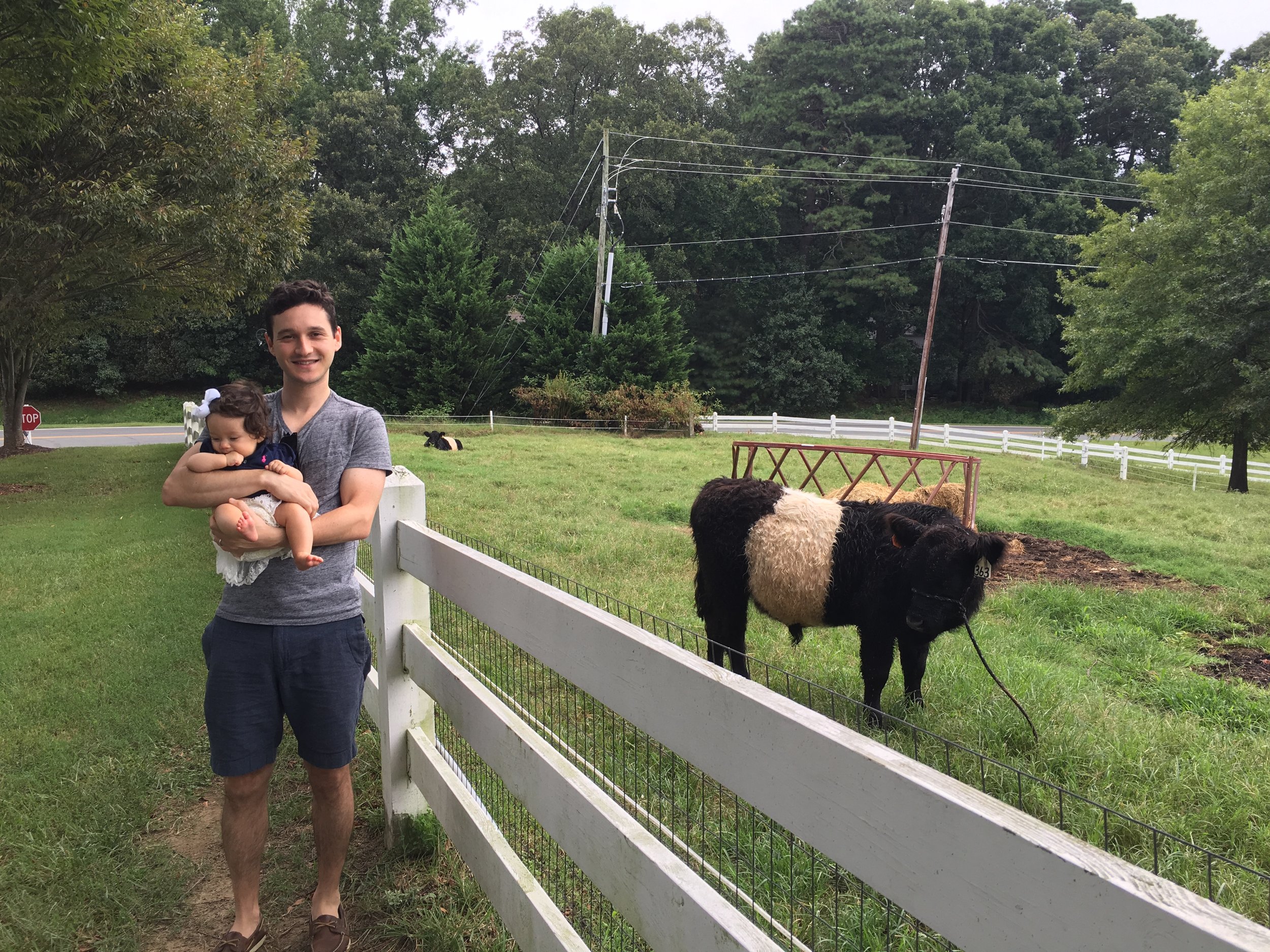 avvie was unimpressed by this calf, but not her parents