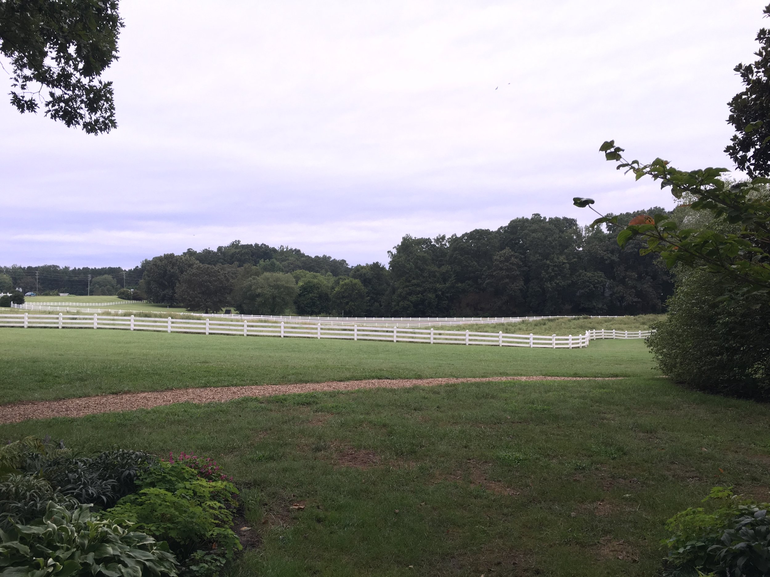 the view of the grounds from the main house