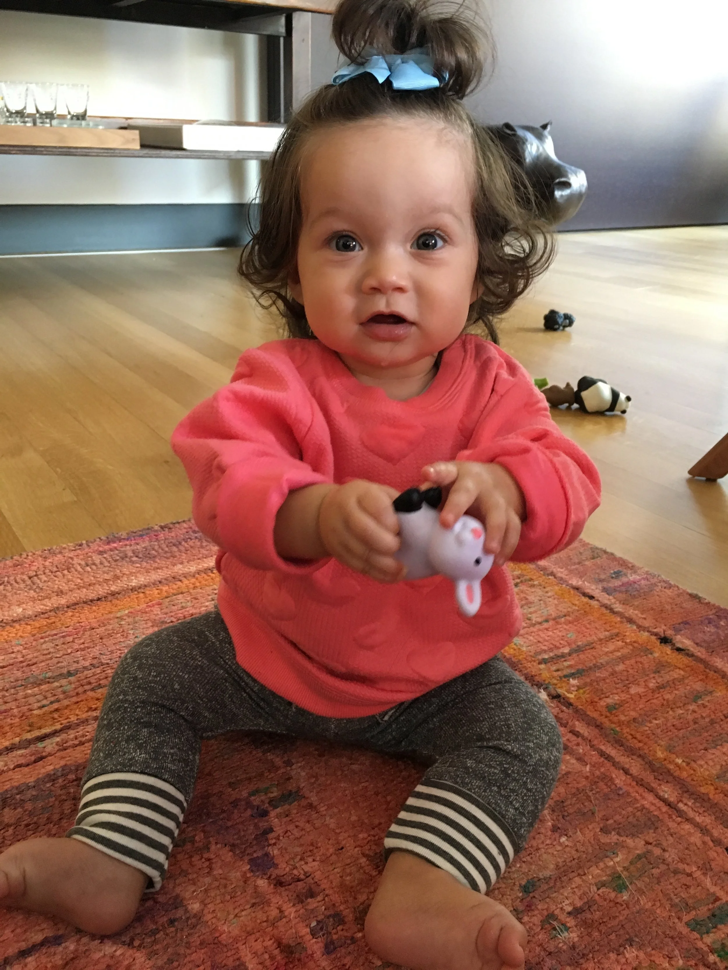 juliet's big list of baby toys