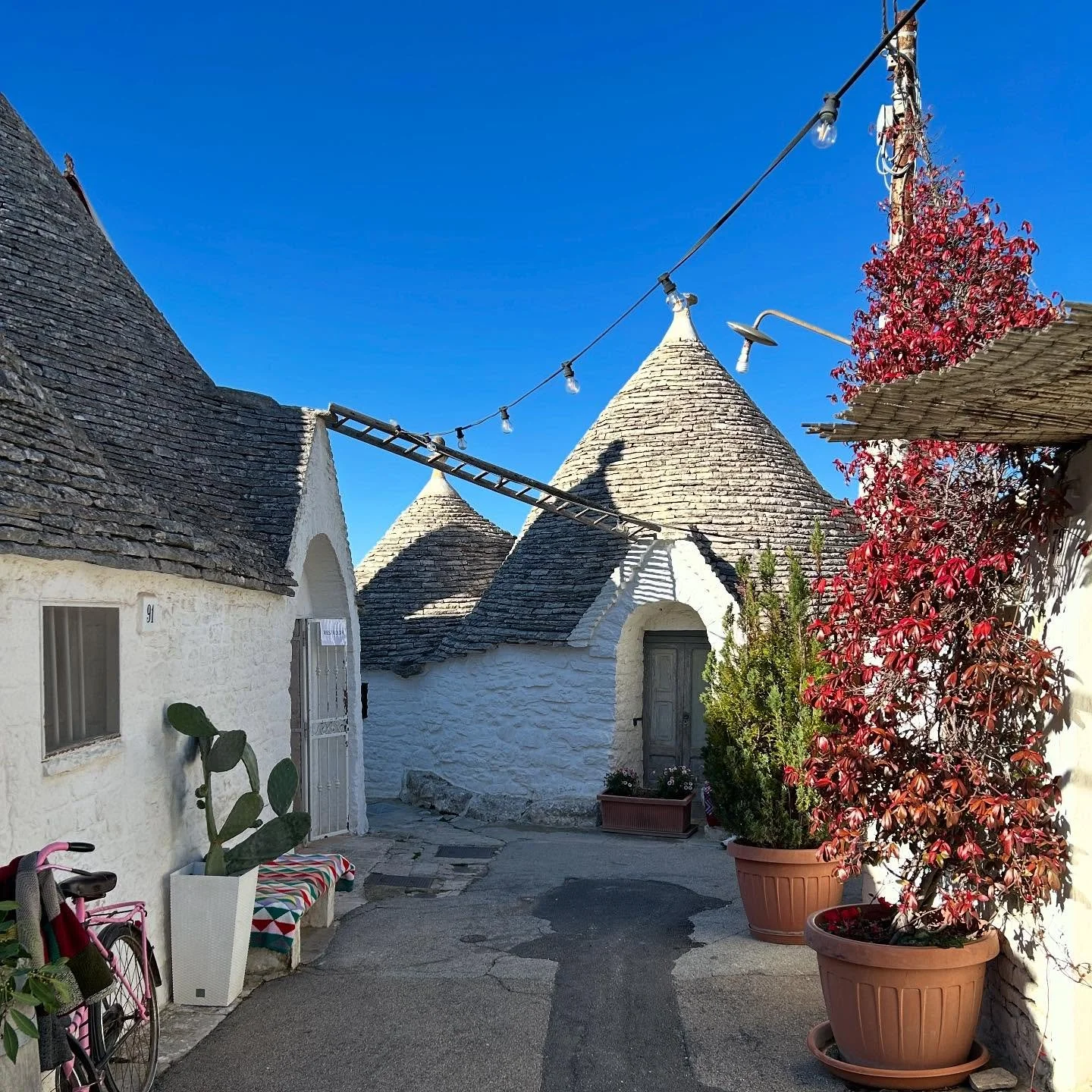 Took a drive into Alberobello this afternoon to explore the trulli: stone conical homes built centuries ago, many of which are still inhabited today.