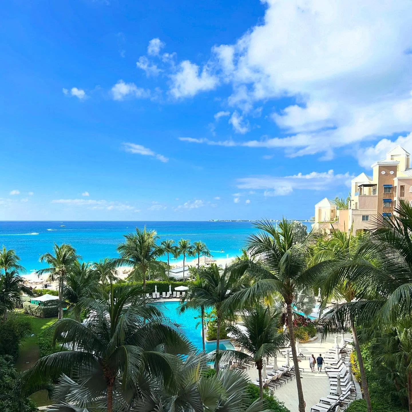 WFC: work from cookout. Happy @ritzcarltoncaymancookout to all those who celebrate!