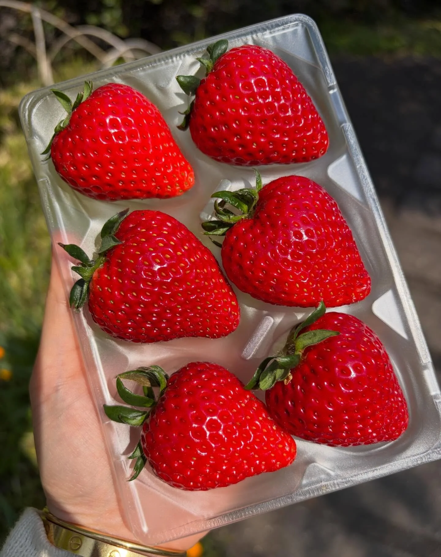 Japanese strawberries. That&rsquo;s all.