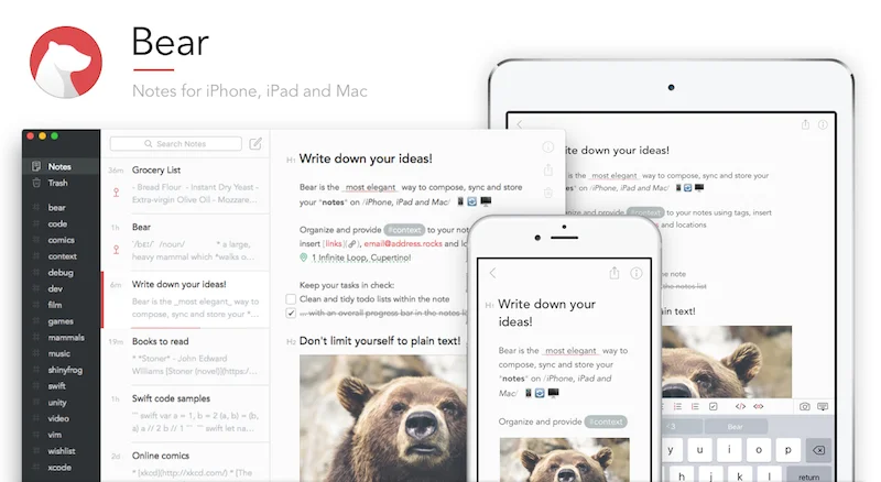 bearapp.jpg