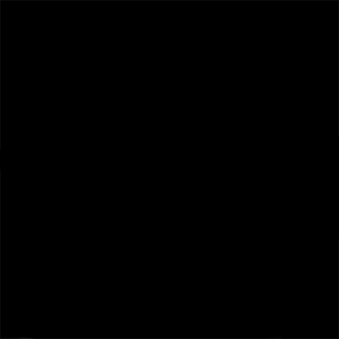 Image from Chippy the Dog
