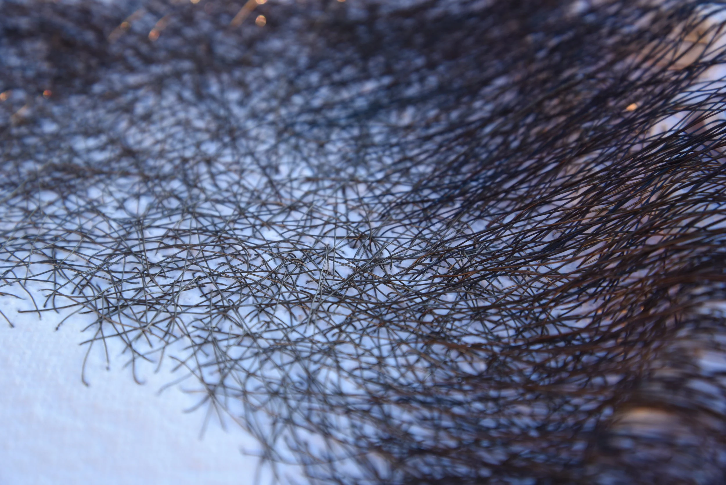 Ana Rakel Ruiz de Sabando