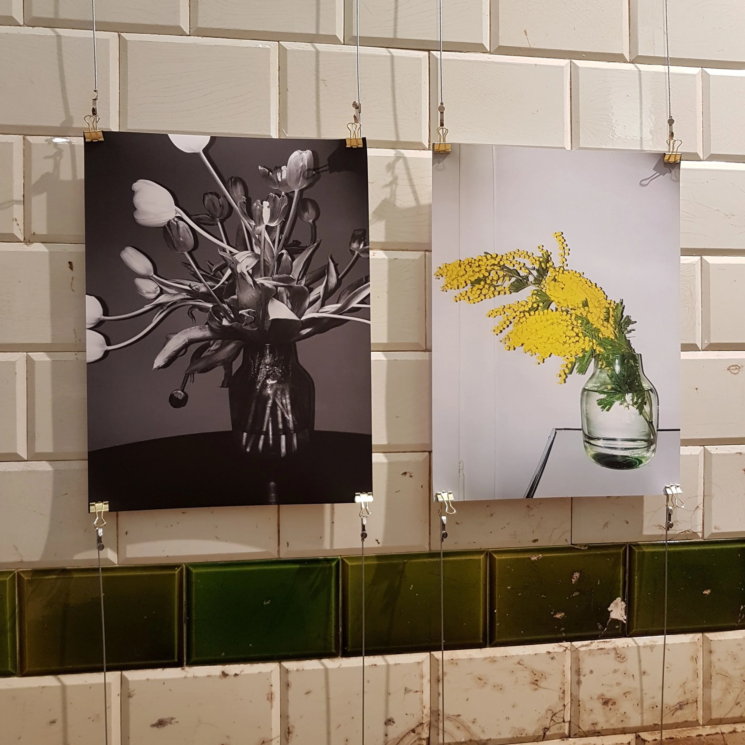 "flashtulips" und "mimosa" | Désirée Good
