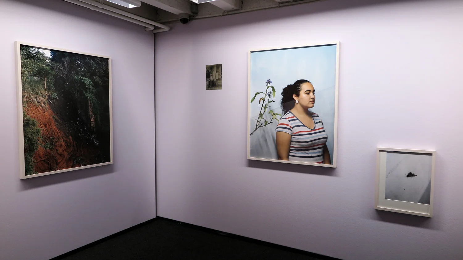 Stürze , Asuncion, 2014 | Cejas , Areguá 2014 | Sphinx , La Boca, Buenos Aires, 2014