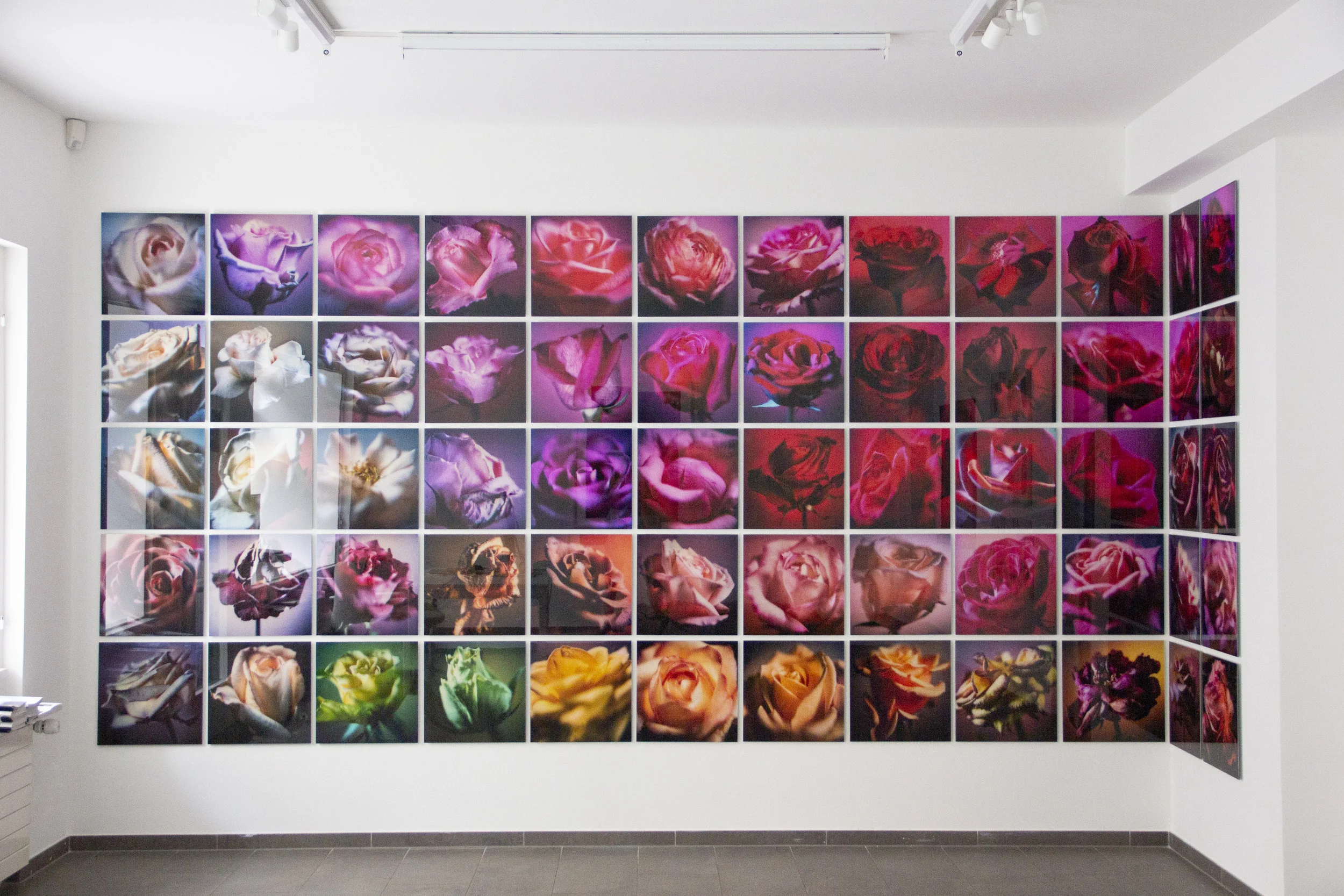 Ausstellungsansichten | Bild: Valentina De Pasquale