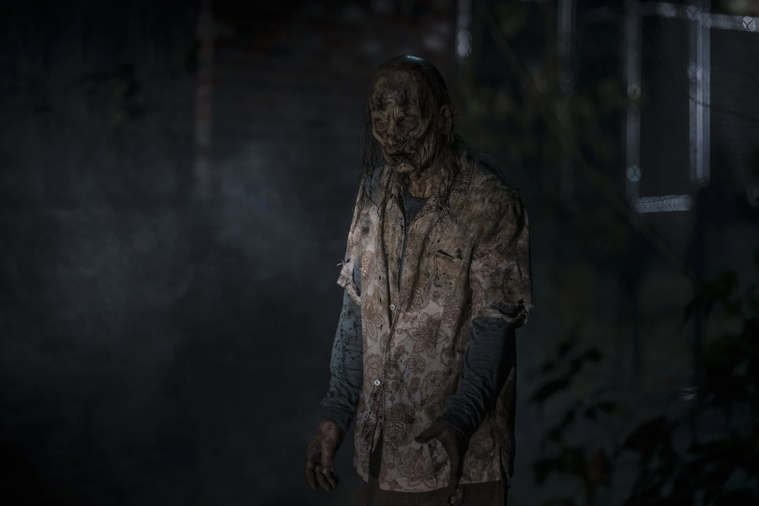 walking dead: dead city