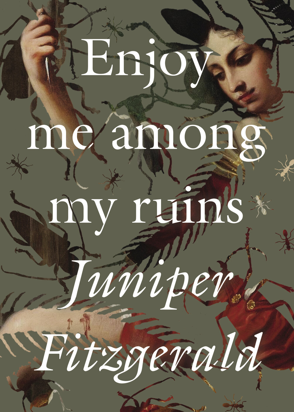 Enjoy_Me_Among_My_Ruins_front_cover.jpg