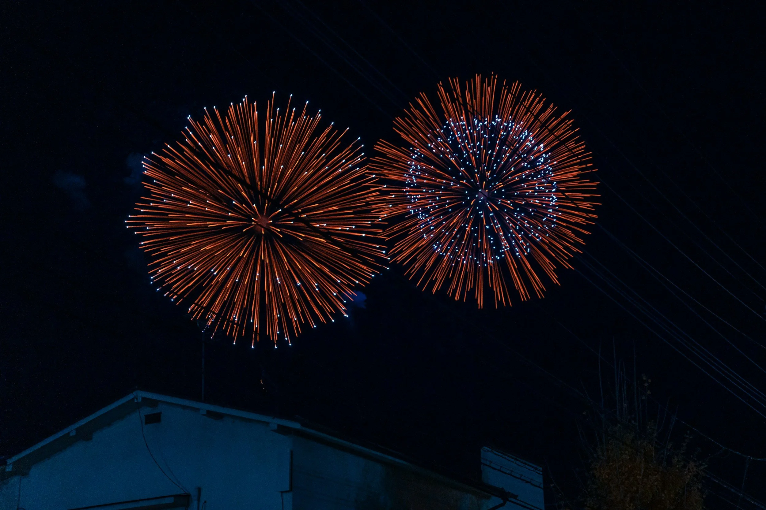 Celebrating Our Impact in 2024