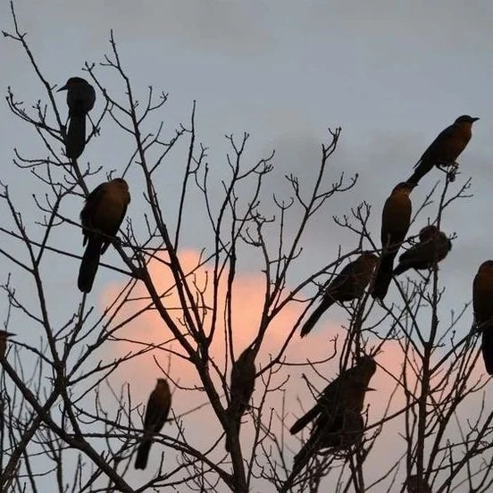 "A hot day at the beginning of spring" 