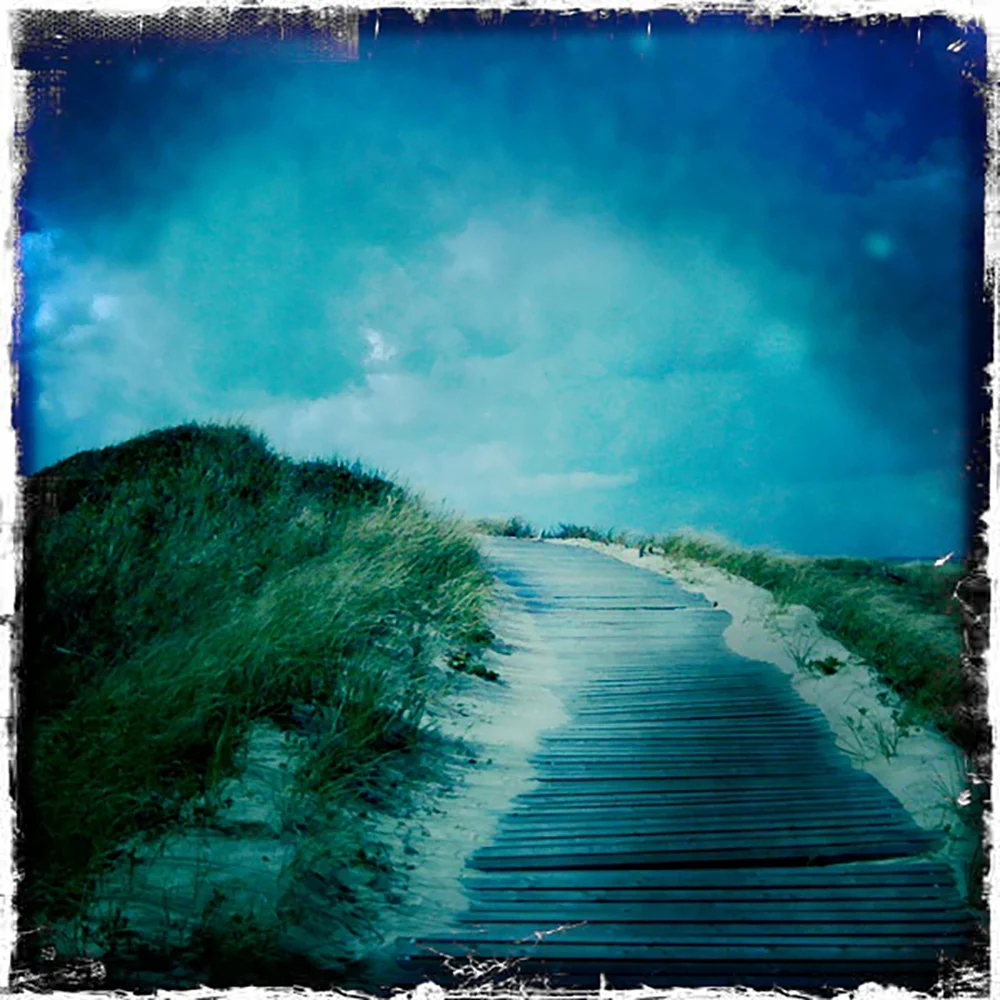 Dunes, Martha's Vineyard