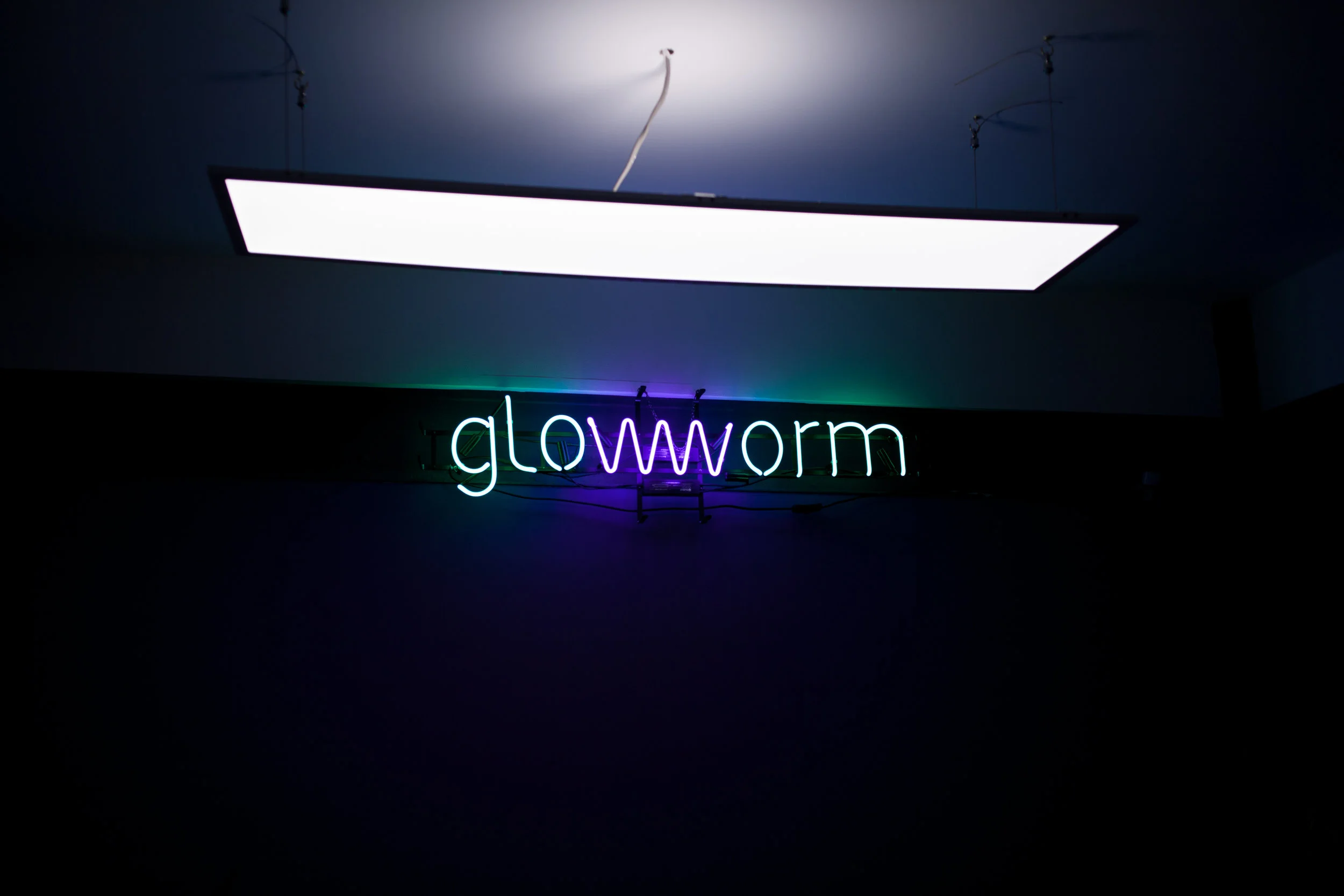 glowworm-1.jpg